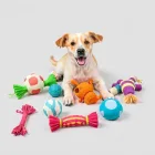 Dog Toys Bundle - Interactive Set