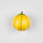 Garcinia Cambogia