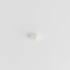 Surfing Earplugs - Water Proof