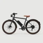 Rider E-Bike