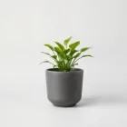 Eco-Friendly Planter