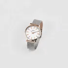 Elegant Mesh Bracelet Watch