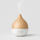 Essential Oil Diffuser