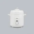 Electric Pressure Cooker