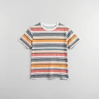 Eclectic Stripe Tee