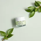 Green Tea Eye Cream