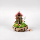 Fairy Garden Kit