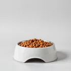 Cat Food Bowl Set