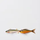 Fishing Bait Assortment