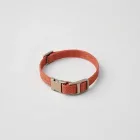 Anti-Flea Dog Collar