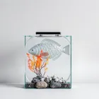 Fish Aquarium Decor