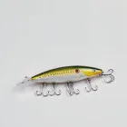 Floating Fishing Lure Set