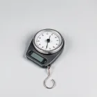 Fishing Game Fishing Scale