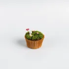 Cupcake Mini Fairy Garden