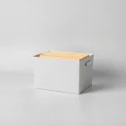 Organizational File Box