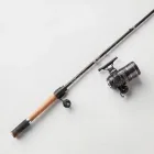Pro Angler Fishing Rod