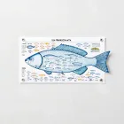 Fish Identification Chart