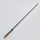 Casting Fishing Rod
