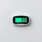 Fish Scale Digital Display