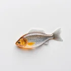 Fish Gender Identifier