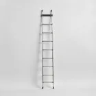 Fishing Ladder
