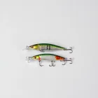 Rapid Strike Fishing Lures