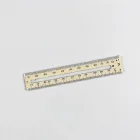 Fishing Ruler Measuring Board