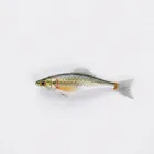 Fishing Swim Bait