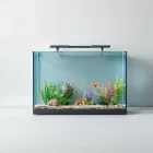 Aquarium Fishtank Background
