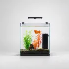 Fish Aquarium Starter Kit