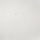 Freestyle Kite