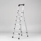 Adjustable Folding Ladder
