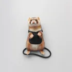 Ferret Leash and Harness