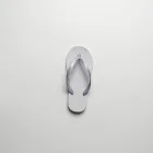 Seabreeze Flip Flops