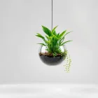 Floating Aquarium Plant Basket