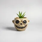 Ghoulish Face Pot