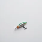 Fishing Bait and Lure Set