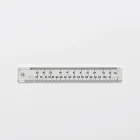 Fish Ruler Measurement Tool