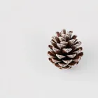 Frosted Pinecones