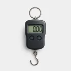 Fish Scale with Digital Display
