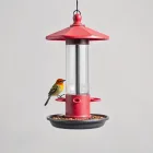 Bird Feeding Station