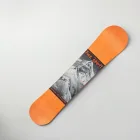 Free Spirit Snowboard