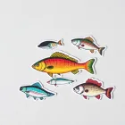 Fishing Stickers Assortment