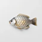 Fish Scale Digital
