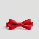 Traditional Red Bow Tie