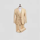 Classic Beige Suit