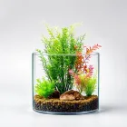 Fish Tank Decoration - Plant Set