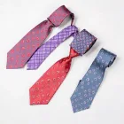 Silk Tie Collection