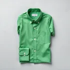 Tailored Green Dress Shirt