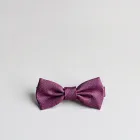 Elegant Bow Tie